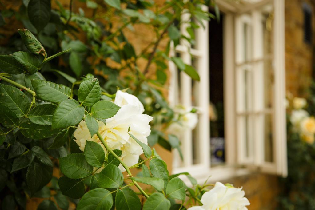White Horse Inn & Restaurant Stoke Albany Ngoại thất bức ảnh